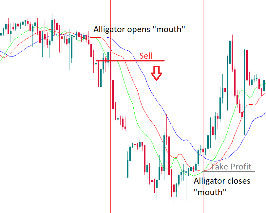 Alligator on the candlestick chart